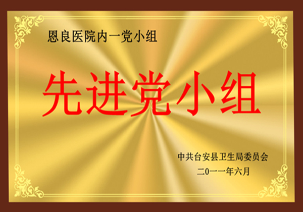 先进党小组